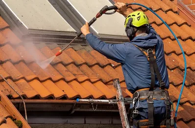 Démoussage et hydrofuge de toiture à Wannehain